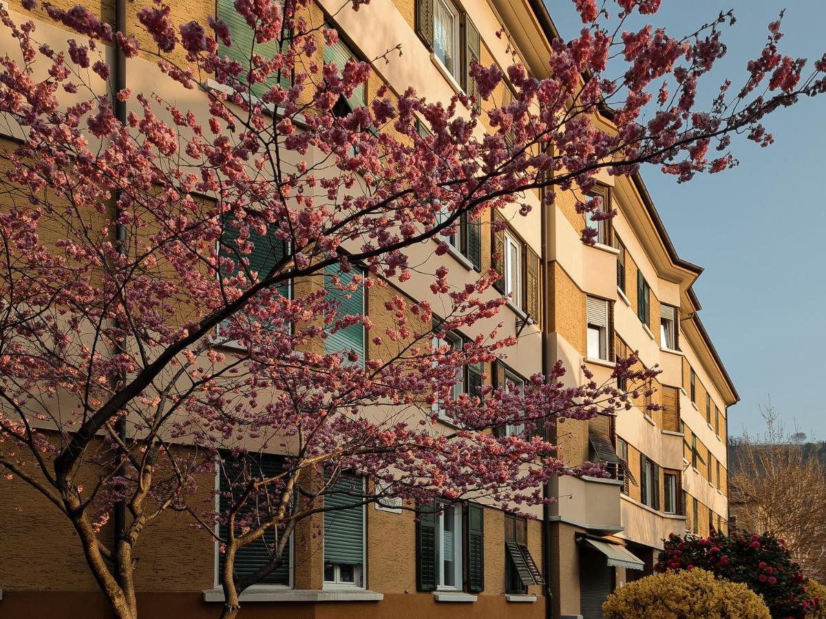 Central Suite Meran Dış mekan fotoğraf